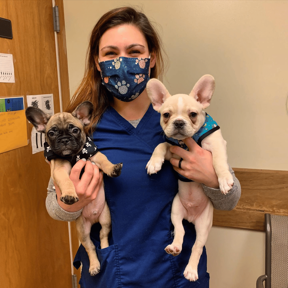 a person wearing a mask holding two dogs